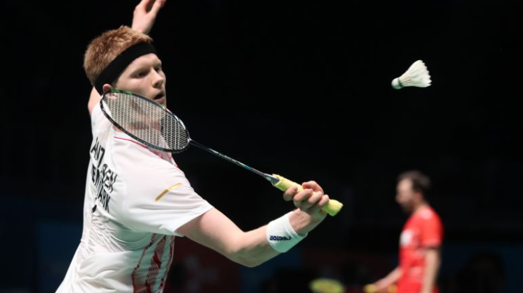 是实力的体 是实力的体